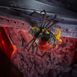 Blackarachnia WFC-K5 Transformers Deluxe Class Figur von Hasbro aus War for Cybertron: Kingdom