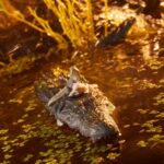 Croc Master & Fiona G.I. Joe Classified Series Figur von Hasbro