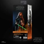 Luke Skywalker (Imperial Light Cruiser) Star Wars Black Series (TBS) Figur von Hasbro aus Star Wars: The Mandalorian
