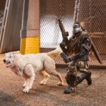 Snake Eyes und Timber G.I. Joe Classified Series Figuren Pack von Hasbro