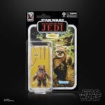 Wicket Star Wars Black Series 40th Anniversary Figur von Hasbro aus Star Wars: Return of the Jedi (ROTJ) Episode VI