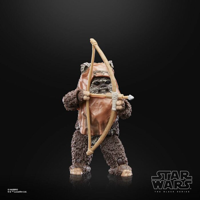 Wicket Star Wars Black Series 40th Anniversary Figur von Hasbro aus Star Wars: Return of the Jedi (ROTJ) Episode VI