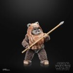 Wicket Star Wars Black Series 40th Anniversary Figur von Hasbro aus Star Wars: Return of the Jedi (ROTJ) Episode VI