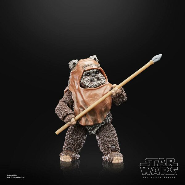 Wicket Star Wars Black Series 40th Anniversary Figur von Hasbro aus Star Wars: Return of the Jedi (ROTJ) Episode VI