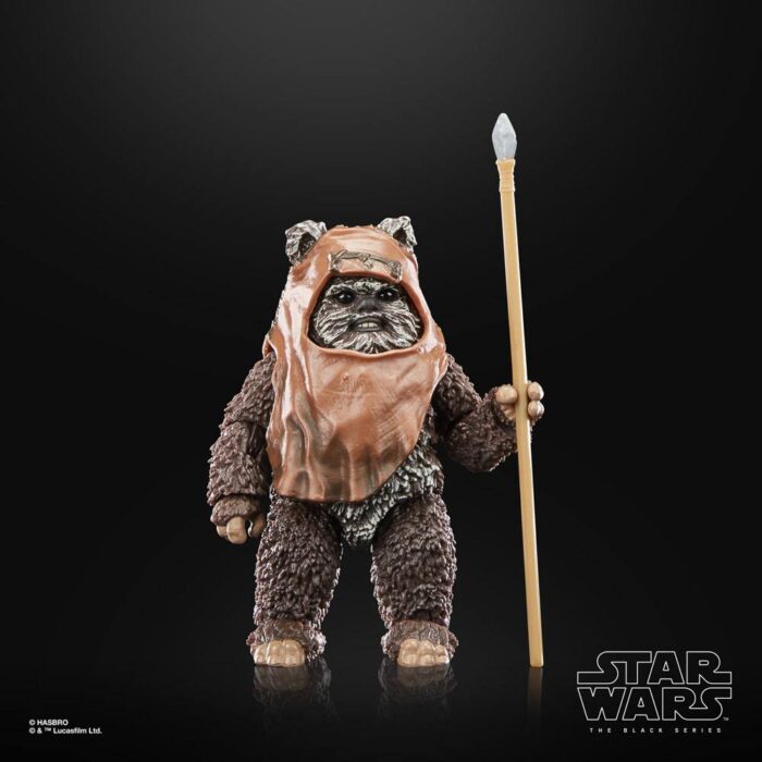 Wicket Star Wars Black Series 40th Anniversary Figur von Hasbro aus Star Wars: Return of the Jedi (ROTJ) Episode VI