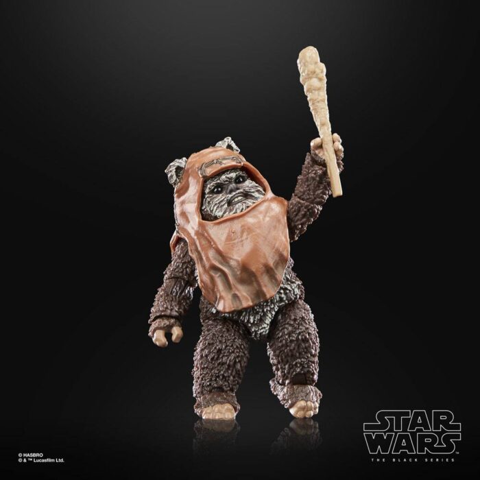 Wicket Star Wars Black Series 40th Anniversary Figur von Hasbro aus Star Wars: Return of the Jedi (ROTJ) Episode VI