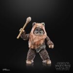 Wicket Star Wars Black Series 40th Anniversary Figur von Hasbro aus Star Wars: Return of the Jedi (ROTJ) Episode VI
