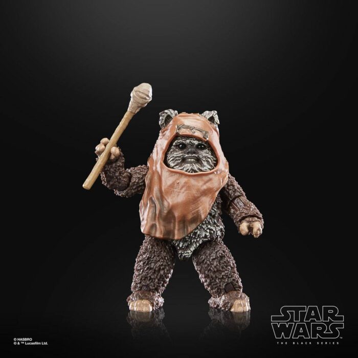 Wicket Star Wars Black Series 40th Anniversary Figur von Hasbro aus Star Wars: Return of the Jedi (ROTJ) Episode VI