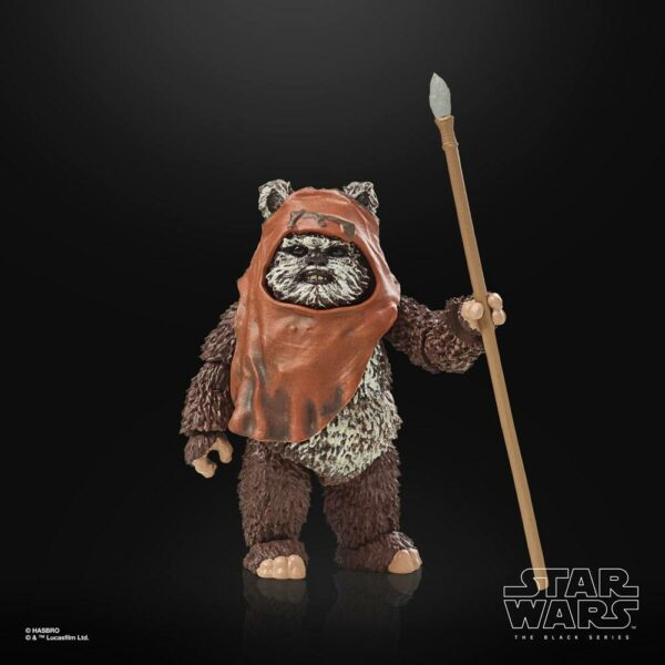 Wicket Star Wars Black Series 40th Anniversary Figur von Hasbro aus Star Wars: Return of the Jedi (ROTJ) Episode VI