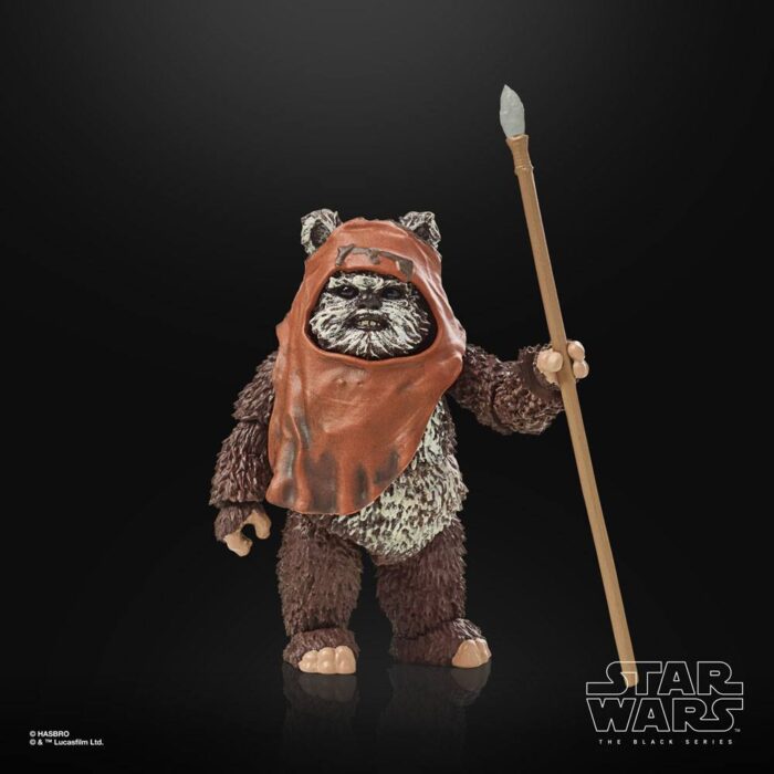 Wicket Star Wars Black Series 40th Anniversary Figur von Hasbro aus Star Wars: Return of the Jedi (ROTJ) Episode VI