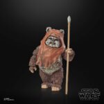 Wicket Star Wars Black Series 40th Anniversary Figur von Hasbro aus Star Wars: Return of the Jedi (ROTJ) Episode VI