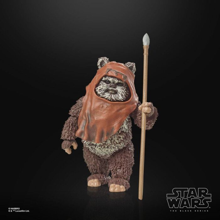 Wicket Star Wars Black Series 40th Anniversary Figur von Hasbro aus Star Wars: Return of the Jedi (ROTJ) Episode VI