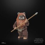 Wicket Star Wars Black Series 40th Anniversary Figur von Hasbro aus Star Wars: Return of the Jedi (ROTJ) Episode VI