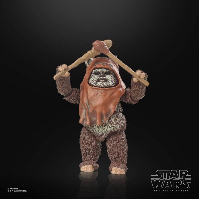 Wicket Star Wars Black Series 40th Anniversary Figur von Hasbro aus Star Wars: Return of the Jedi (ROTJ) Episode VI
