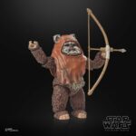 Wicket Star Wars Black Series 40th Anniversary Figur von Hasbro aus Star Wars: Return of the Jedi (ROTJ) Episode VI
