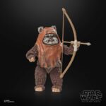 Wicket Star Wars Black Series 40th Anniversary Figur von Hasbro aus Star Wars: Return of the Jedi (ROTJ) Episode VI