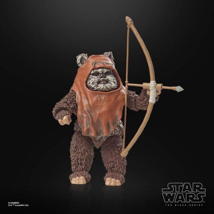 Wicket Star Wars Black Series 40th Anniversary Figur von Hasbro aus Star Wars: Return of the Jedi (ROTJ) Episode VI