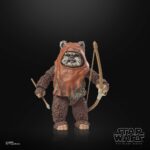 Wicket Star Wars Black Series 40th Anniversary Figur von Hasbro aus Star Wars: Return of the Jedi (ROTJ) Episode VI