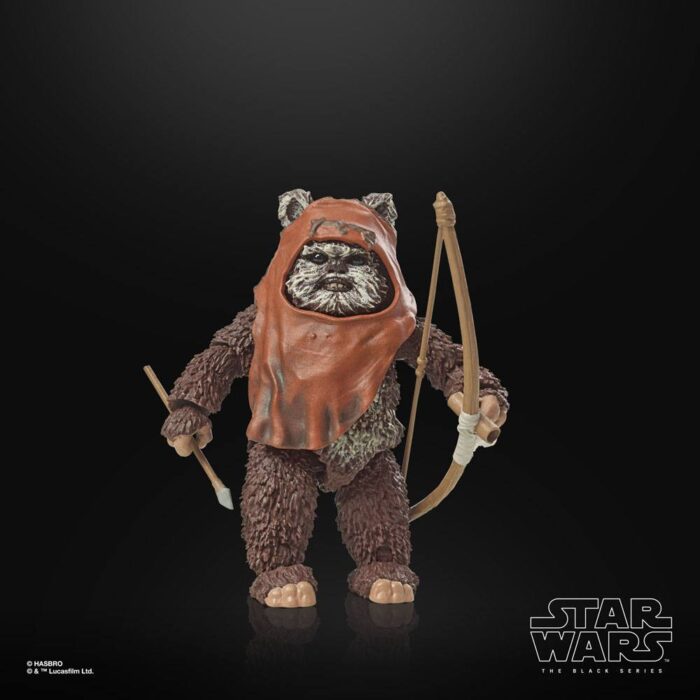 Wicket Star Wars Black Series 40th Anniversary Figur von Hasbro aus Star Wars: Return of the Jedi (ROTJ) Episode VI