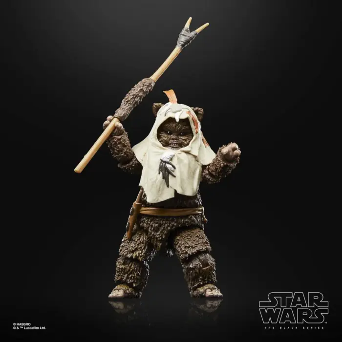 Paploo Star Wars The Black Series 40th Anniversary Edition Figur von Hasbro aus Star Wars: Return of the Jedi (ROTJ)