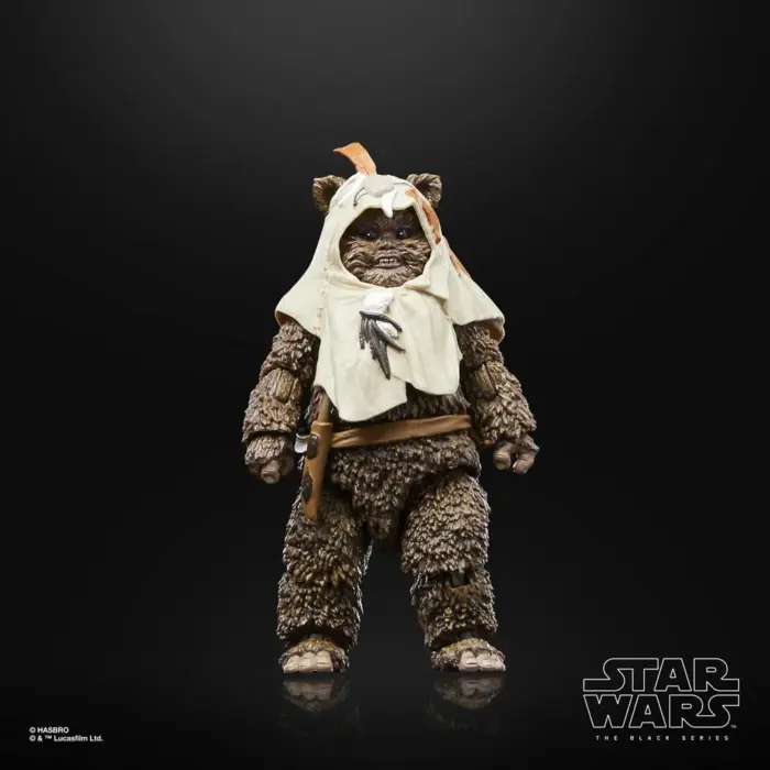 Paploo Star Wars The Black Series 40th Anniversary Edition Figur von Hasbro aus Star Wars: Return of the Jedi (ROTJ)
