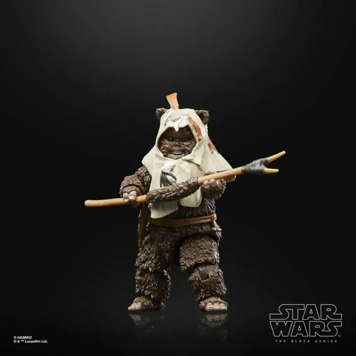 Paploo Star Wars The Black Series 40th Anniversary Edition Figur von Hasbro aus Star Wars: Return of the Jedi (ROTJ)