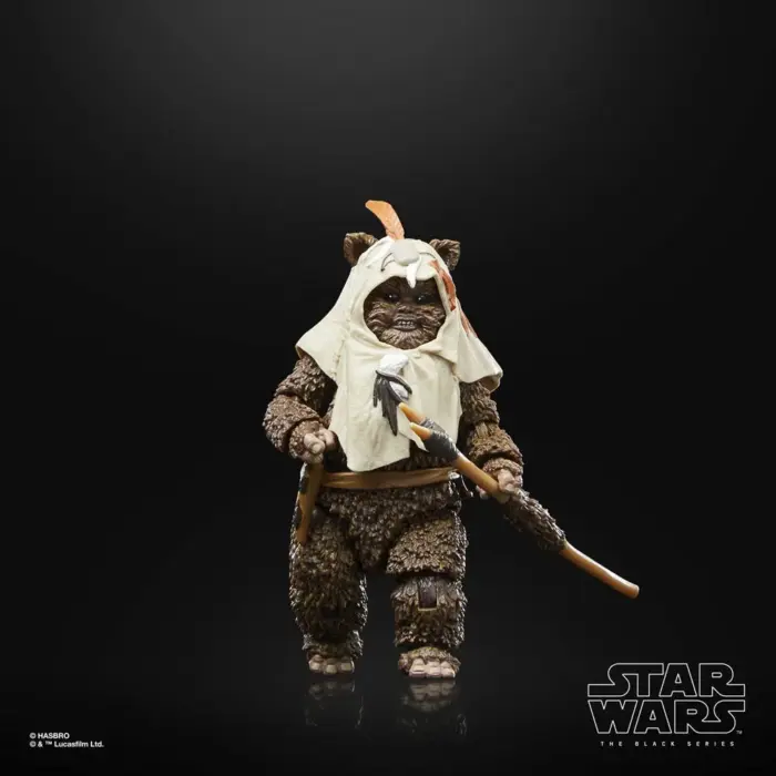 Paploo Star Wars The Black Series 40th Anniversary Edition Figur von Hasbro aus Star Wars: Return of the Jedi (ROTJ)