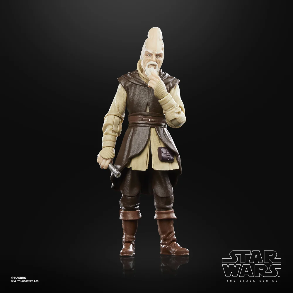 Ki-Adi Mundi Star Wars Black Series Figur von Hasbro aus Star Wars: Attack of the Clones