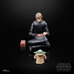 Luke Skywalker & Grogu 2-Pack Star Wars Figuren von Hasbro aus Star Wars: The Book of Boba Fett