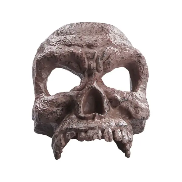 HELENA SHAW – Adventure Series – Indiana Jones and the Dial of Destiny – Bild 8