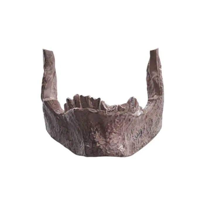 INDIANA JONES – Adventure Series – Indiana Jones and the Temple of Doom – Bild 8