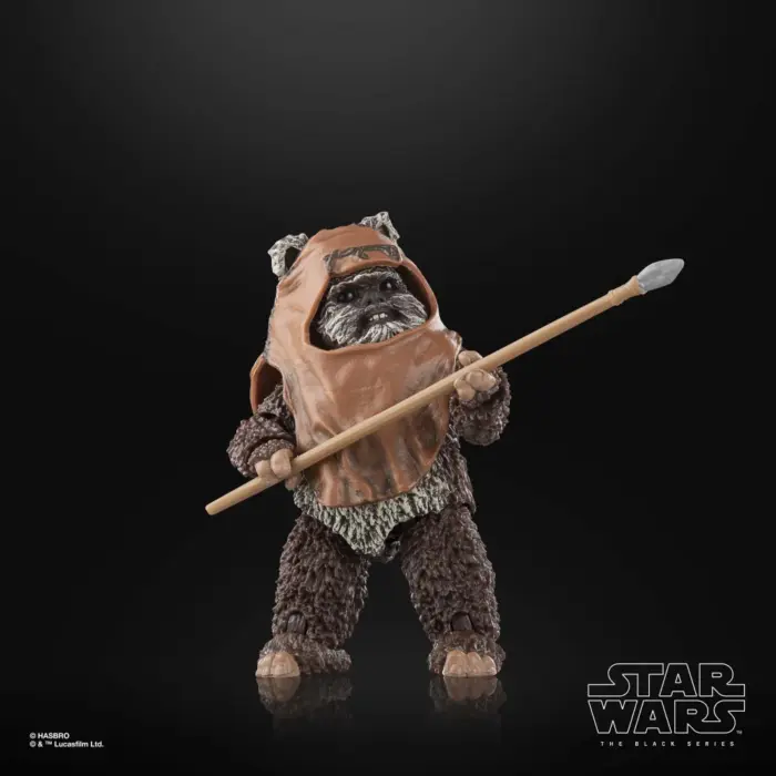 Wicket Star Wars Black Series Figur von Hasbro aus Star Wars: Return of the Jedi (ROTJ)