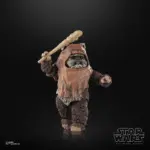 Wicket Star Wars Black Series Figur von Hasbro aus Star Wars: Return of the Jedi (ROTJ)