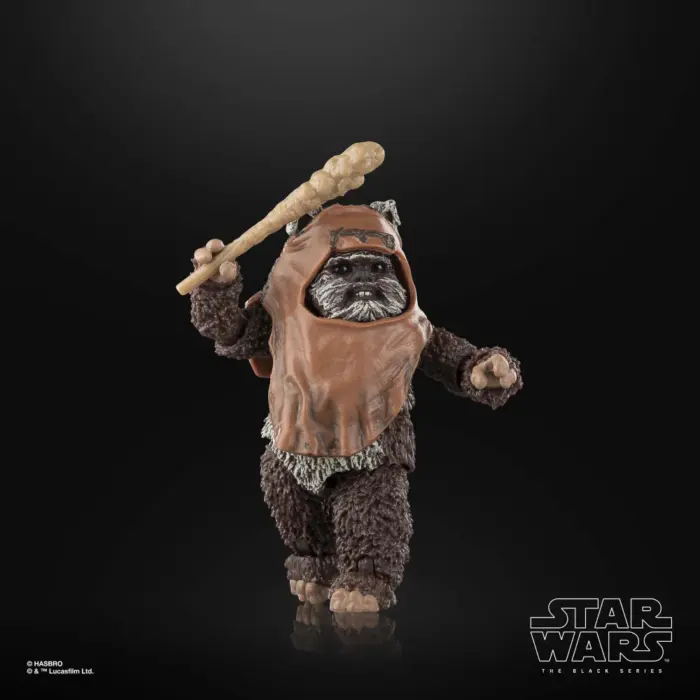 Wicket Star Wars Black Series Figur von Hasbro aus Star Wars: Return of the Jedi (ROTJ)