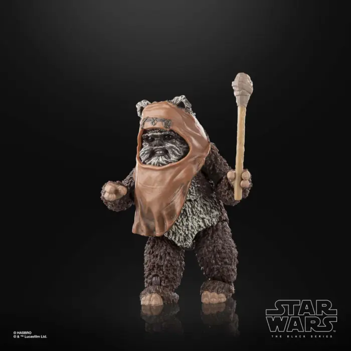 Wicket Star Wars Black Series Figur von Hasbro aus Star Wars: Return of the Jedi (ROTJ)