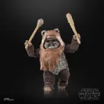 Wicket Star Wars Black Series Figur von Hasbro aus Star Wars: Return of the Jedi (ROTJ)