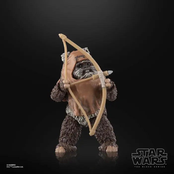 Wicket Star Wars Black Series Figur von Hasbro aus Star Wars: Return of the Jedi (ROTJ)