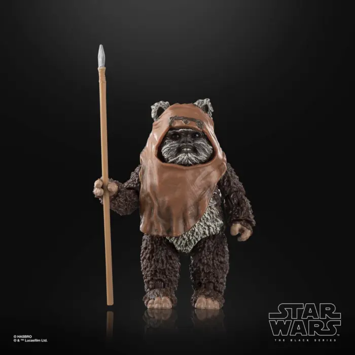 Wicket Star Wars Black Series Figur von Hasbro aus Star Wars: Return of the Jedi (ROTJ)