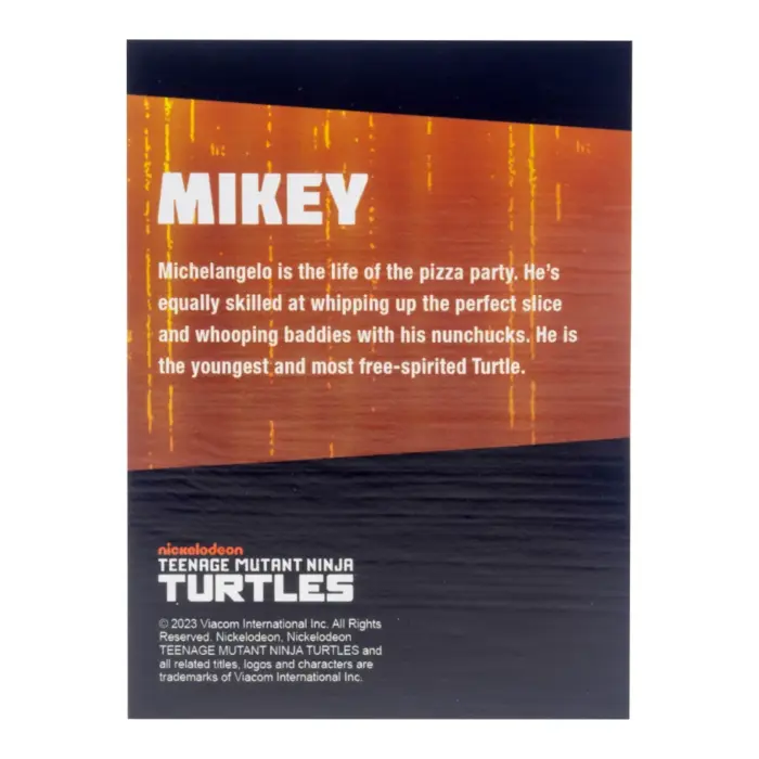 Black & White Michelangelo, Raphael, Donatello und Leonardo Teenage Mutant Ninja Turtles BST AXN 4-Pack von The Loyal Subjects in der IDW Comic Version