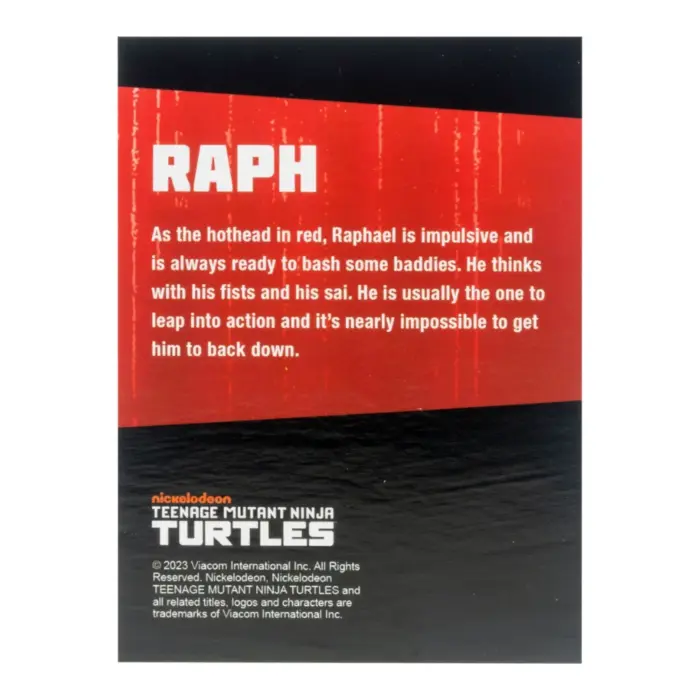 Black & White Michelangelo, Raphael, Donatello und Leonardo Teenage Mutant Ninja Turtles BST AXN 4-Pack von The Loyal Subjects in der IDW Comic Version