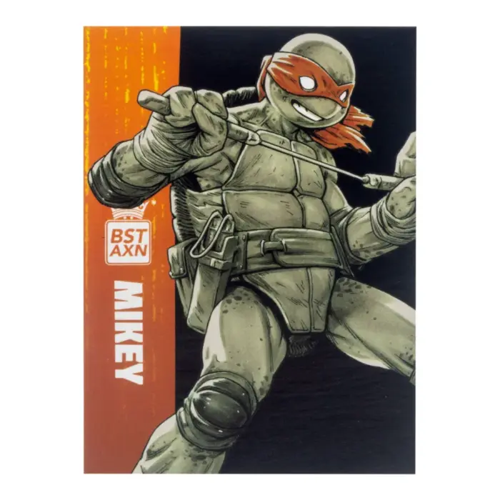 Black & White Michelangelo, Raphael, Donatello und Leonardo Teenage Mutant Ninja Turtles BST AXN 4-Pack von The Loyal Subjects in der IDW Comic Version