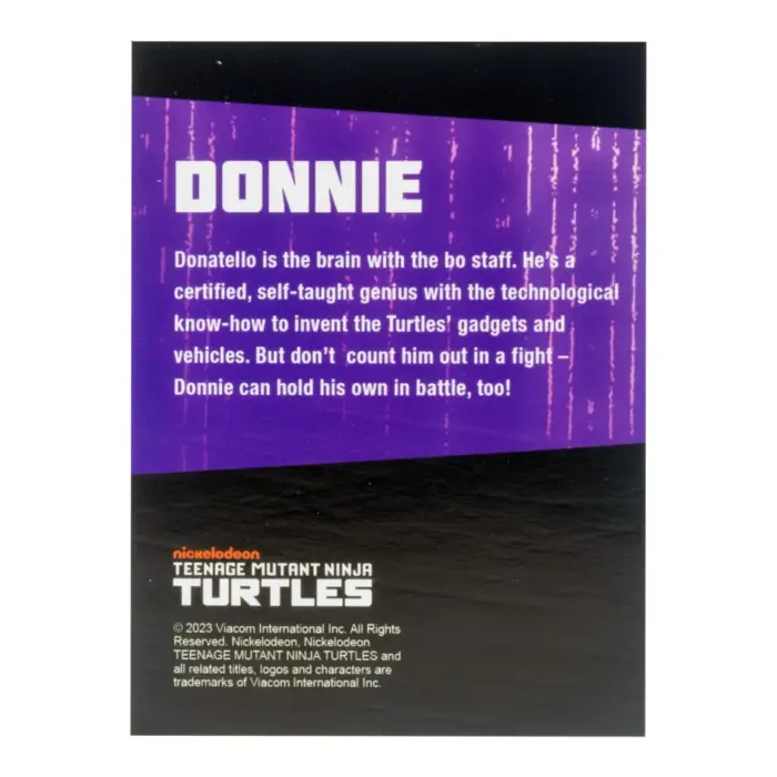 Black & White Michelangelo, Raphael, Donatello und Leonardo Teenage Mutant Ninja Turtles BST AXN 4-Pack von The Loyal Subjects in der IDW Comic Version