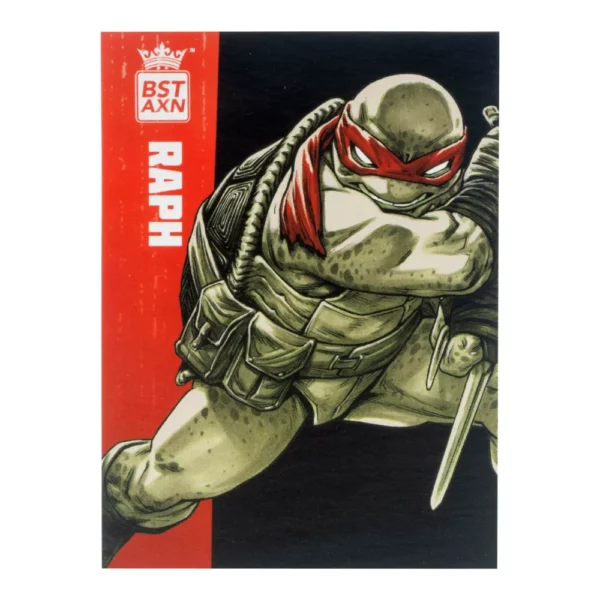 Black & White Michelangelo, Raphael, Donatello und Leonardo Teenage Mutant Ninja Turtles BST AXN 4-Pack von The Loyal Subjects in der IDW Comic Version