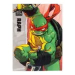 Raphael Teenage Mutant Ninja Turtles BST AXN Figur von The Loyal Subjects in der IDW Comic Version