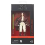Jedi Masters Indara Star Wars Black Series Figur von Hasbro aus Star Wars: The Acolyte