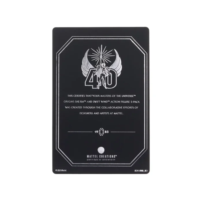 She-Ra und Swift Wind Masters of the Universe Origins (MotU) Mattel Creations Exclusive Figuren 2-Pack