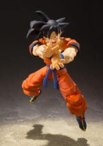 Son Goku (A Saiyan Raised On Earth) - Dragon Ball Z - S.H. Figuarts