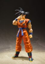 Son Goku (A Saiyan Raised On Earth) - Dragon Ball Z - S.H. Figuarts – Bild 7