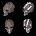 Greyborn Set - Cosmic Character Pack Zubehör-Set