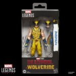 Wolverine (Battle Damaged) - Marvel Legends Serie - Deadpool & Wolverine – Bild 12